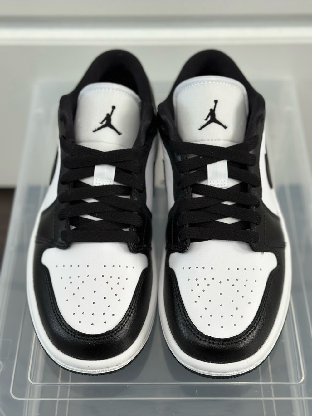 Brand New Jordan Women’s Low Top Size 6